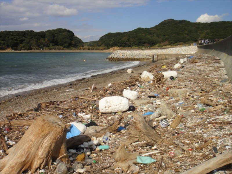 ごみが漂着した海岸